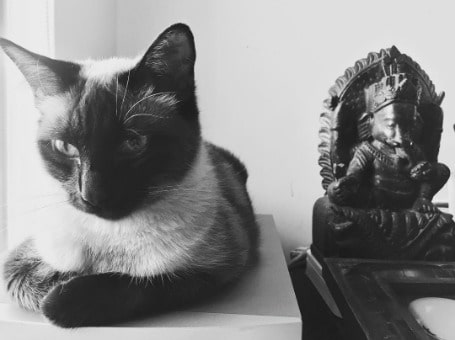 Photo of Valentino Lanus's two guardians